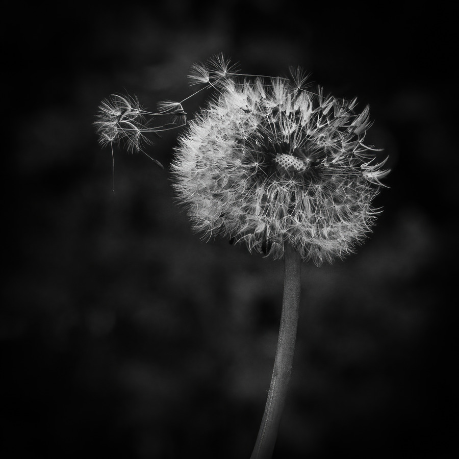 5 Blowing in the wind